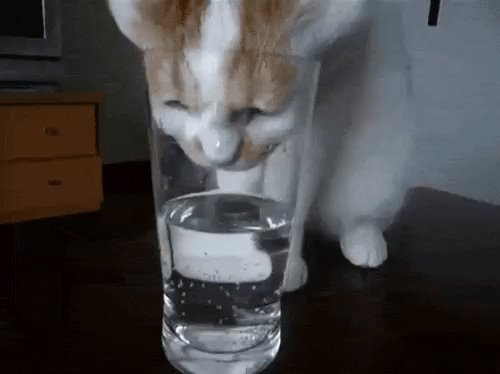 73